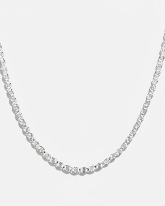 Cadena de Plata Facetada